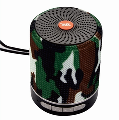 Loa Bluetooth WASK WK-556