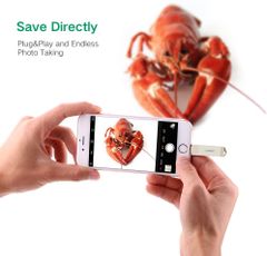 USB 64Gb UGREEN US200 Cổng USC2.0 + Ổ Flash đầu lightning cho iPhone/iPad 64gB