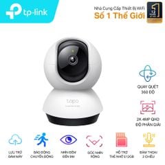 Camera ip wifi TP-Link Tapo C220 (2K 4MP/ Quay quét)