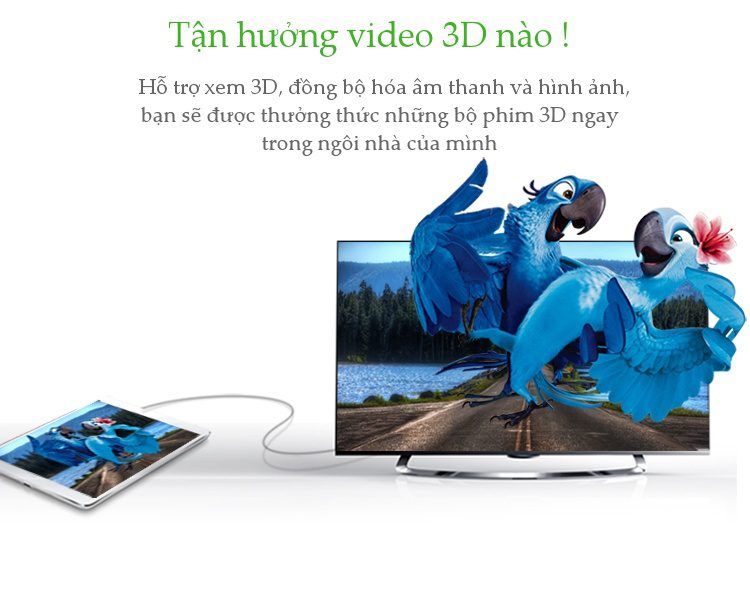 Cáp chuyển Micro HDMI Type D sang HDMI Type A Dài 1-3M UGREEN HD127