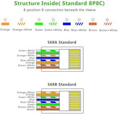 Đầu bấm mạng RJ45 cho dây CAT5e UGREEN NW110
