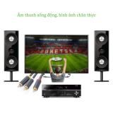 Dây cáp AV 3 đầu Hoa Sen mạ vàng Ugreen AV105