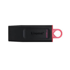 USB KINGSTON 256GB DATATRAVELER EXODIA DTX/256GB (USB 3.2 GEN 1) MÀU BLACK + PINK