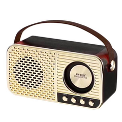 Loa Bluetooth WS-3138