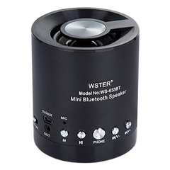 LOA BLUETOOTH WSTER WS-633BT