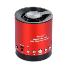 LOA BLUETOOTH WSTER WS-633BT