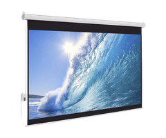 Màn Chiếu Điện EXZEN 200 inch (ENS180SWM)