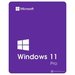 Hệ điều hành Microsoft Windows Pro 11 64Bit Eng Intl 1pk DSP OEI DVD (FQC-10528)