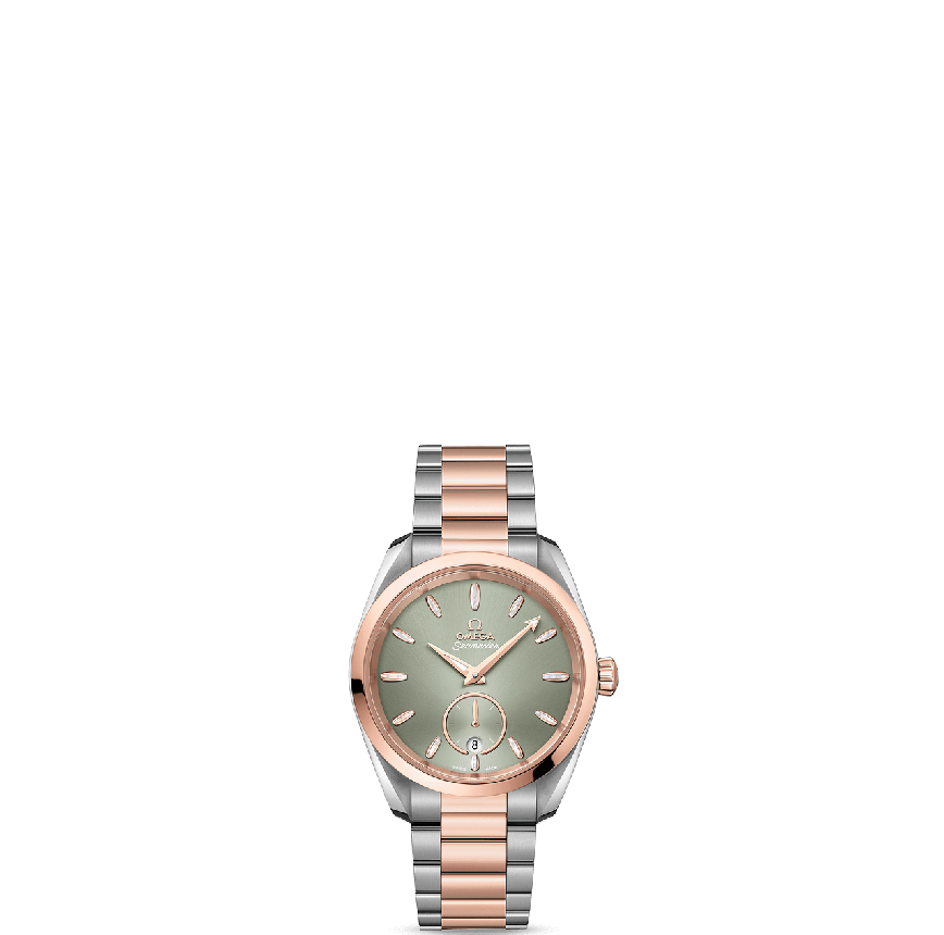  Đồng Hồ Nam Omega Seamaster Automatic Chronometer 'Silver' 