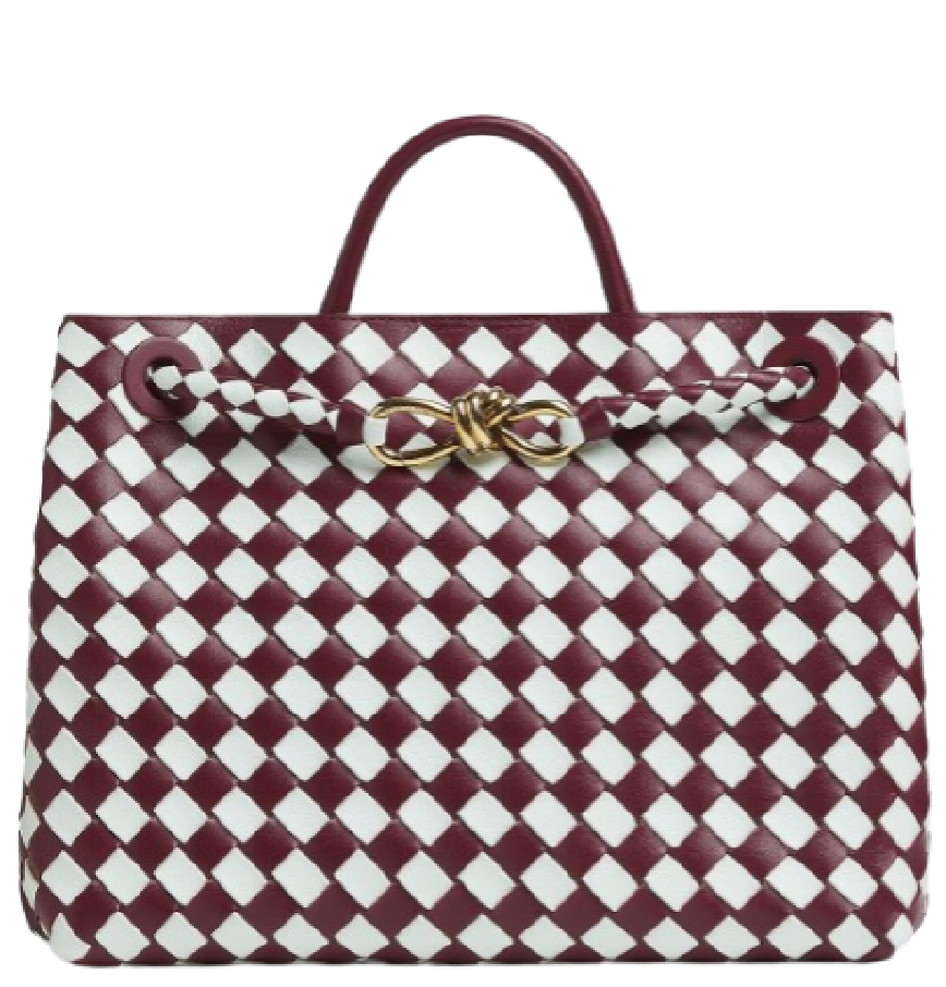 Túi Nữ Bottega Veneta Medium Andiamo 'Barolo Glacier' 
