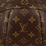  Túi Nam Louis Vuitton 'Duck Monogram Canvas' 