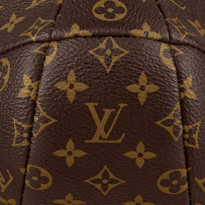  Túi Nam Louis Vuitton 'Duck Monogram Canvas' 