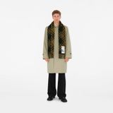  Khăn Burberry Check Cashmere Scarf 'Camp' 
