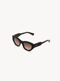  Kính Chloe Gayia Sunglasses 'Dark Havana' 