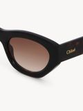  Kính Chloe Gayia Sunglasses 'Dark Havana' 