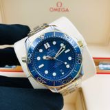  Đồng Hồ Omega Seamaster Sedna Blue Dial Steel and 18kt Yellow Gold 
