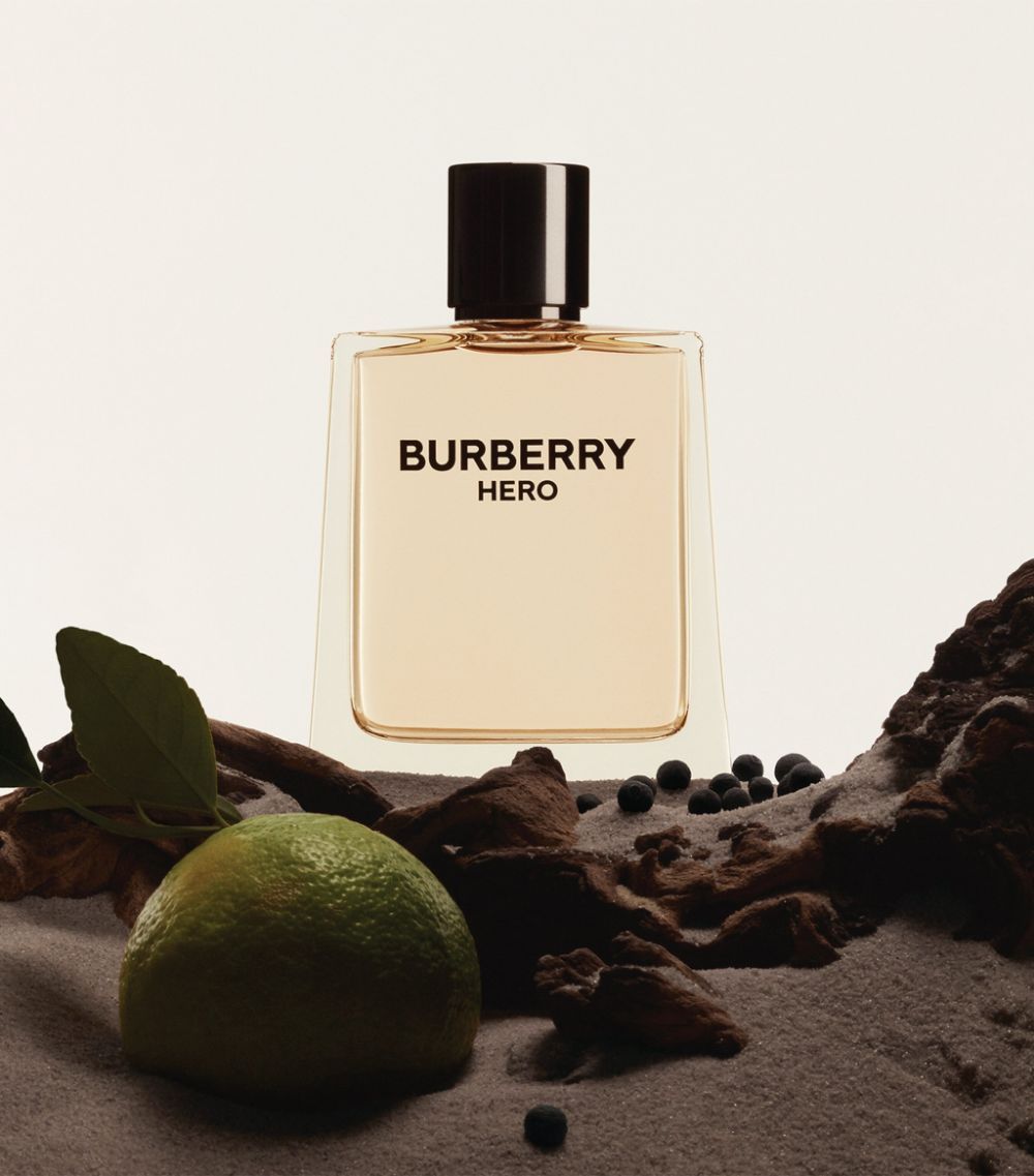  Nước Hoa Burberry Burberry Hero Eau de Toilette 