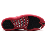  Giày Nike Air Jordan 12 Retro 'Cherry' 2009 