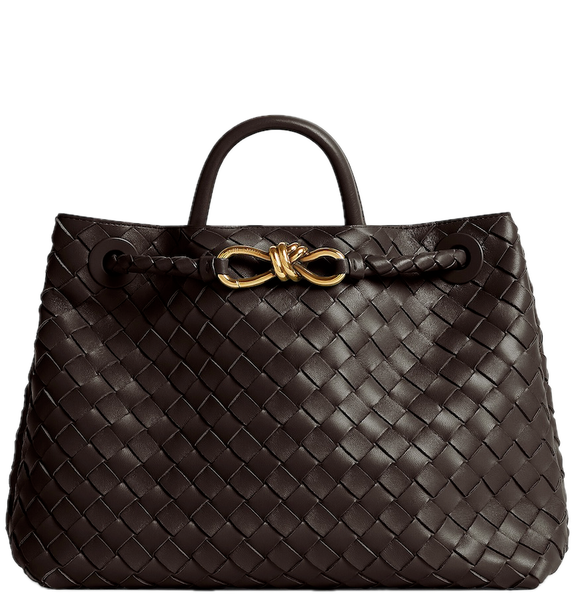  Túi Nữ Bottega Veneta Medium Andiamo 'Fondant' 