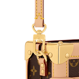  Túi Nữ Louis Vuitton LV x TM Petite Malle Bag 'Brown' 