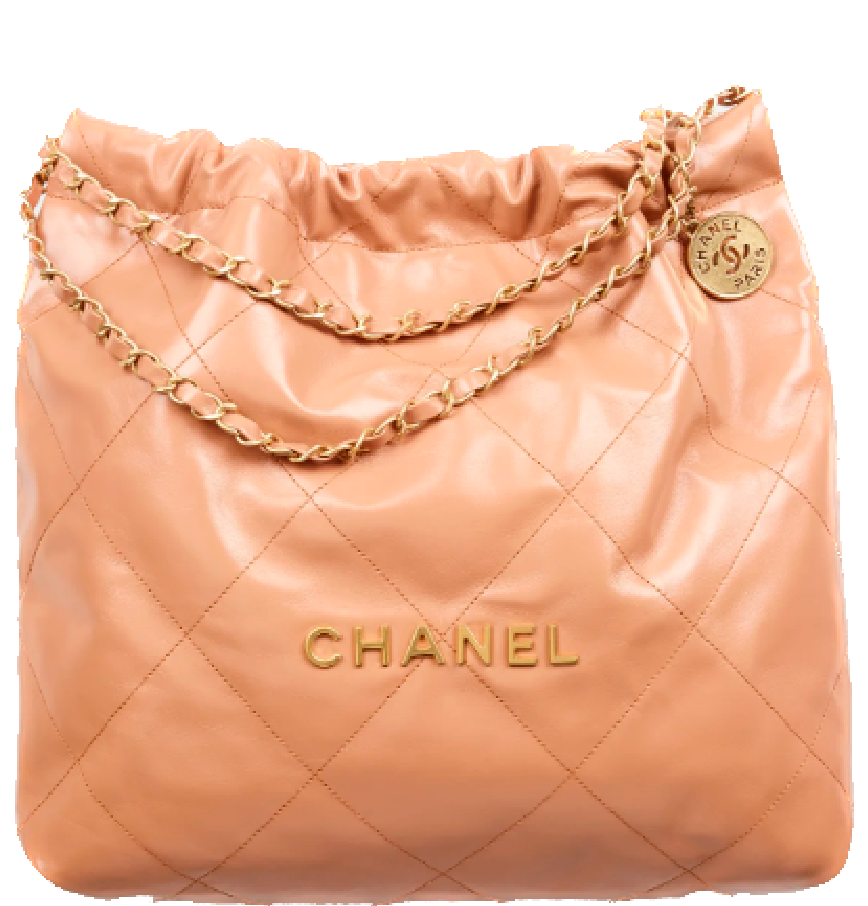 Chanel Maxi Camel Lambskin Single Classic Flap Bag  Labellov  Buy and  Sell Authentic Luxury