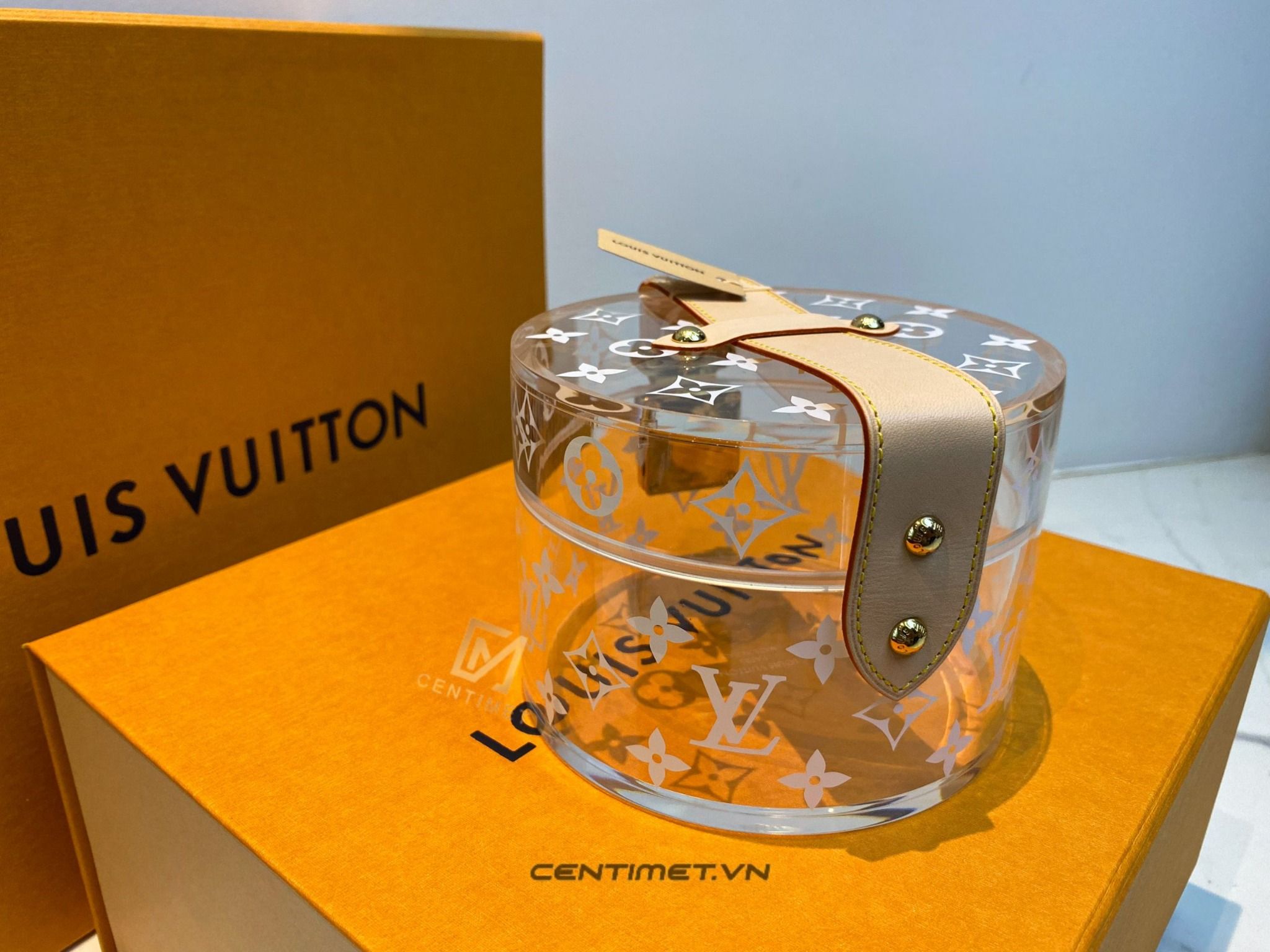 Lous Vuitton Animal Airpods Pro Case  Bragmybag