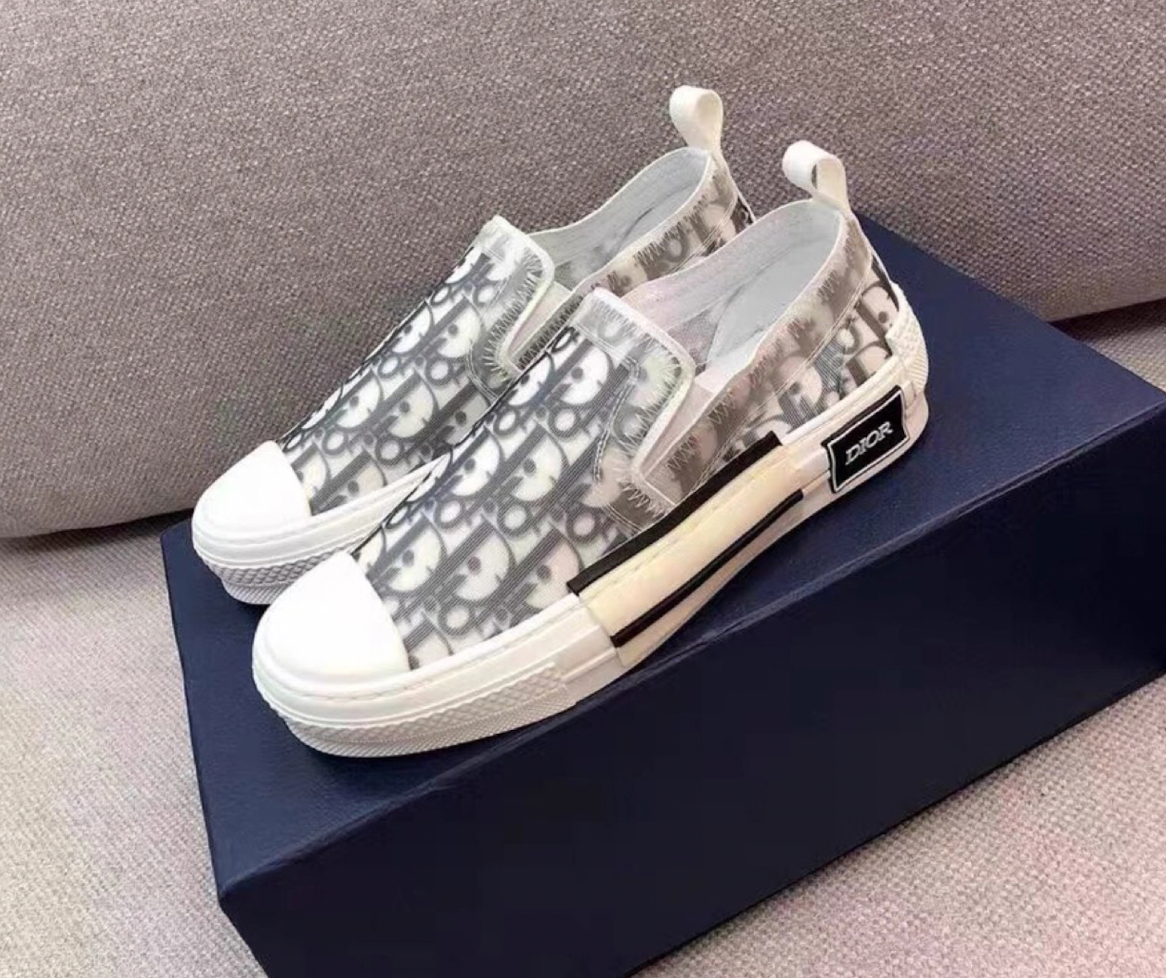 dior b23 low top canvas oblique