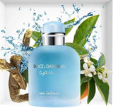  Nước Hoa Nam Dolce & Gabbana Light Blue Eau Intense Pour Homme 