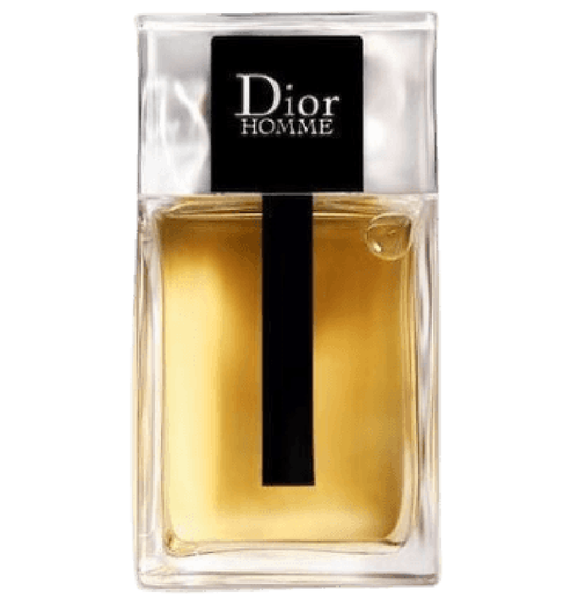  Nước Hoa Nam Dior Homme EDT 