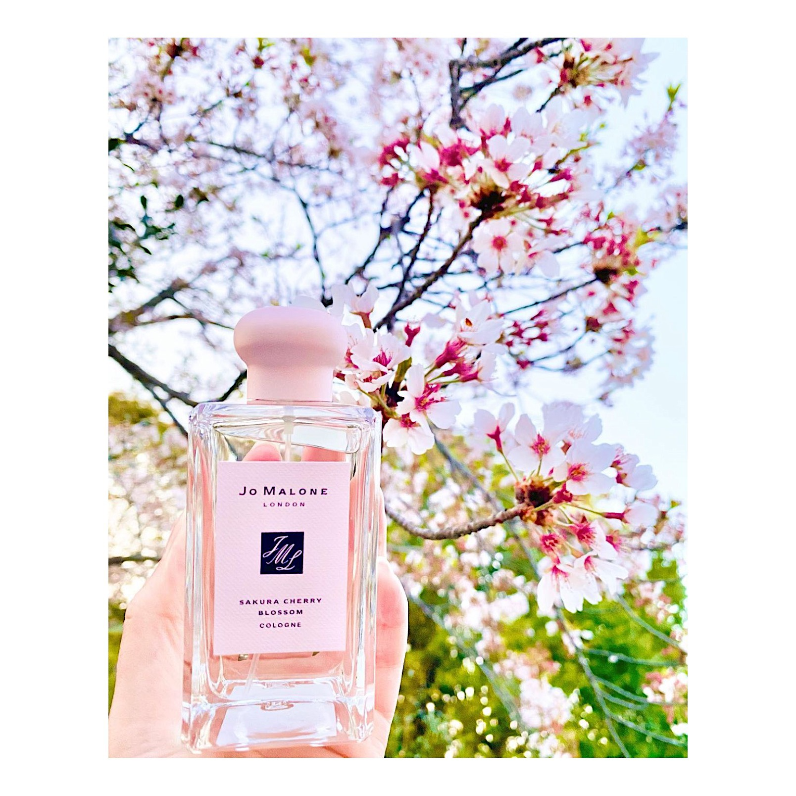 Nước Hoa Jo Malone Sakura Cherry Blossom Sakura Cherry Blossom Jo