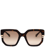  Kính Chloe West Sunglasses 'Dark Havana' 