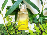  Nước Hoa Hermes Le Jardin de Monsieur Li EDT 