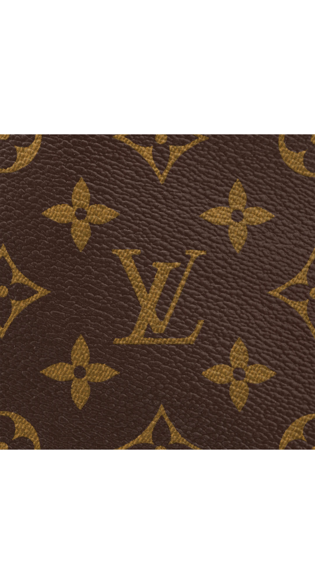  Túi Nữ Louis Vuitton Carryall Pm Bag 'Brown' 