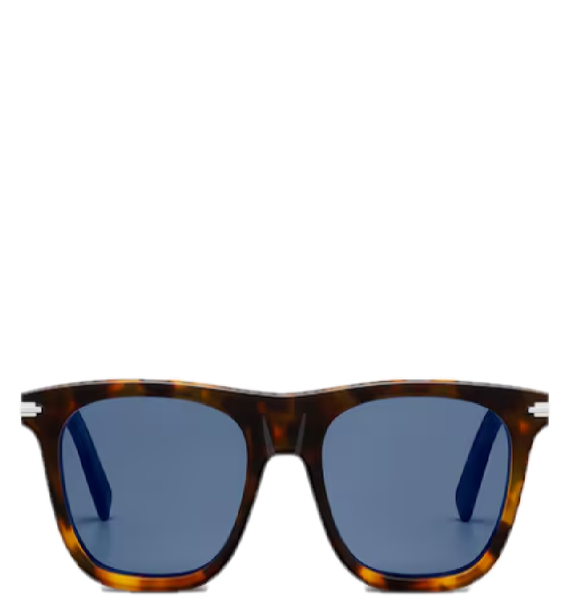  Kính Nam Dior BlackSuit S13I 'Gradient Brown' 