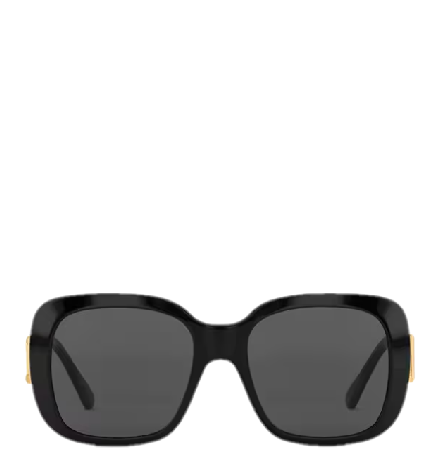  Kính Nữ Louis Vuitton LV GO-14 XL Square Sunglasses 'Black' 
