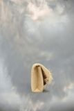  Túi Nữ Maison Margiela Snatched 'Beige' 
