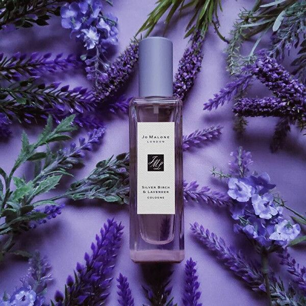 Jo Malone Silver Birch & Lavender 未使用 Jo Malone London Jo Malone Unisex Silver Birch & Lavender