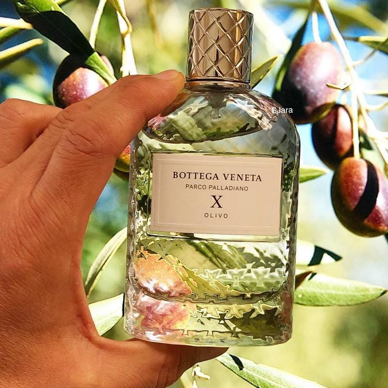 Bottega veneta parco palladiano x eau de parfum best sale