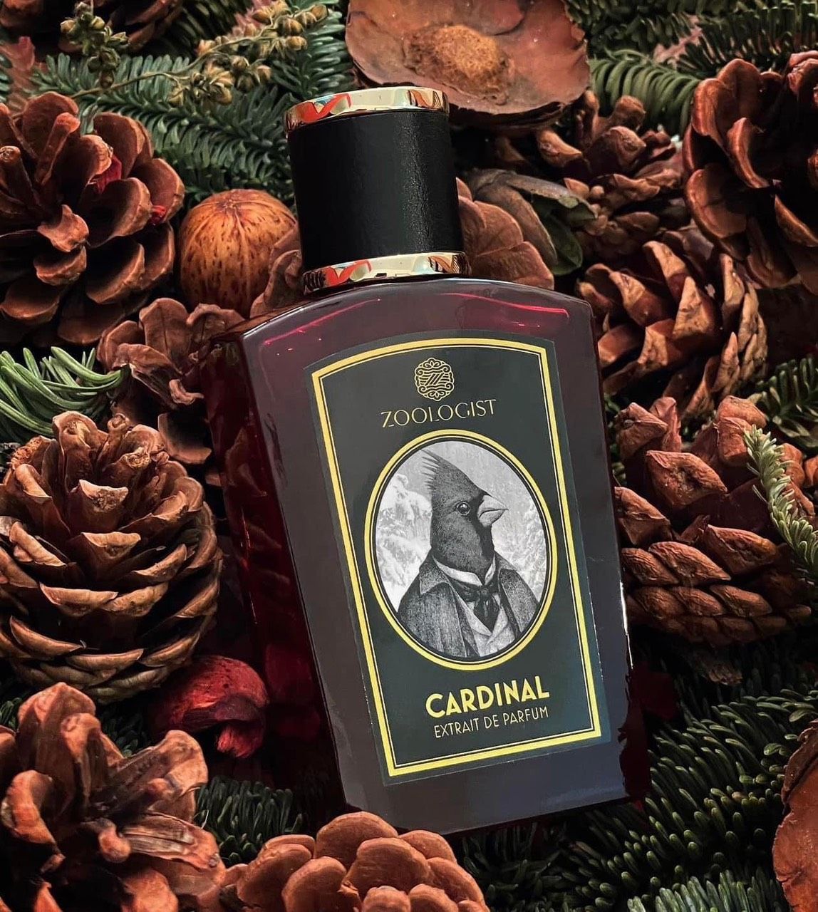  Nước Hoa Zoologist Perfumes Cardinal Limited Edition 