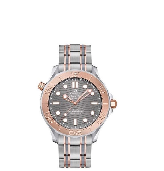  Đồng Hồ Nam OMEGA Seamaster Automatic 'Grey' Dial 