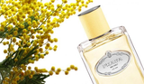 Nước Hoa Nữ Prada Les Infusions Mimosa EDP 