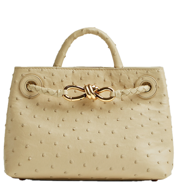  Túi Nữ Bottega Veneta Mini Andiamo 'Butterscotch' 