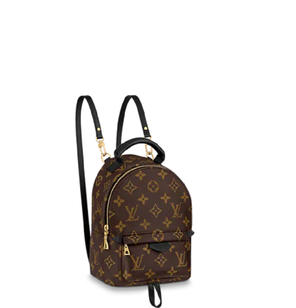  Túi Nữ Louis Vuitton Palm Springs Mini Monogram Canvas 'Black' 