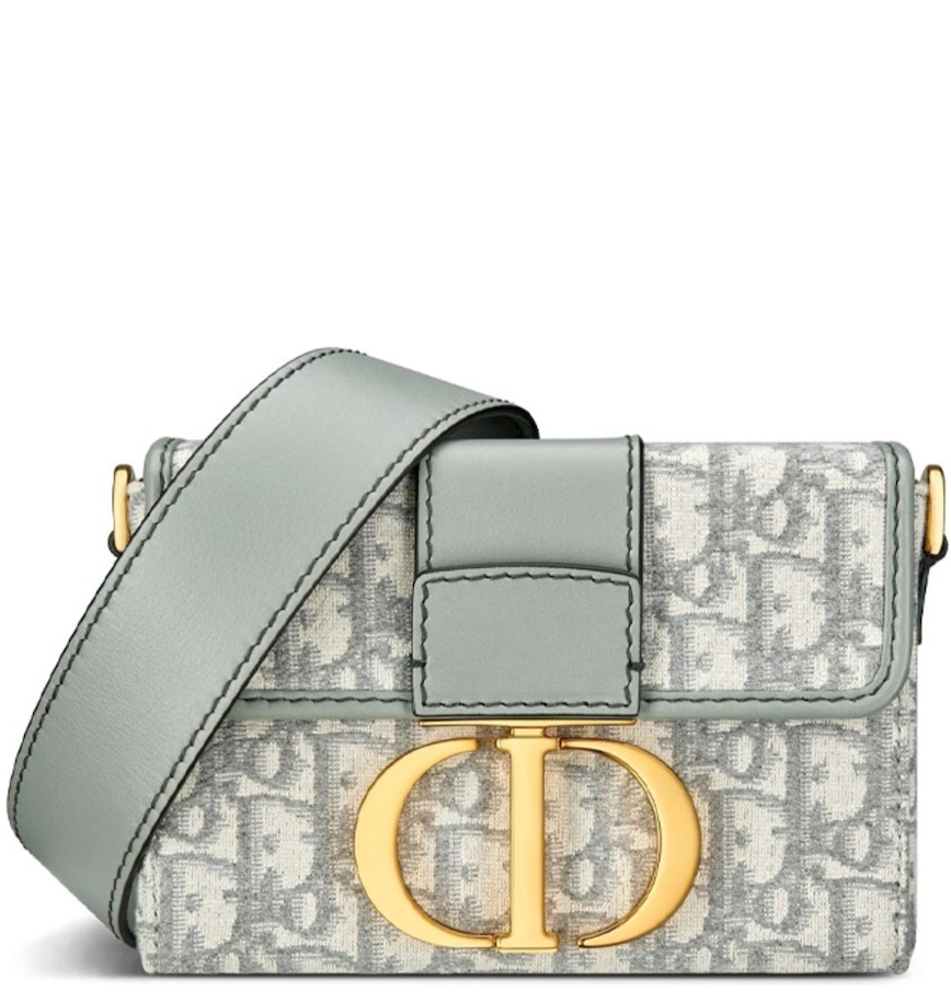 Diors 30 Montaigne Bag Is Already a Summer It Piece  Who What Wear UK