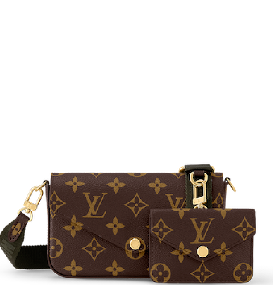 Louis Vuitton Félicie Strap & Go pouch Brown Cloth ref.1056602 - Joli Closet