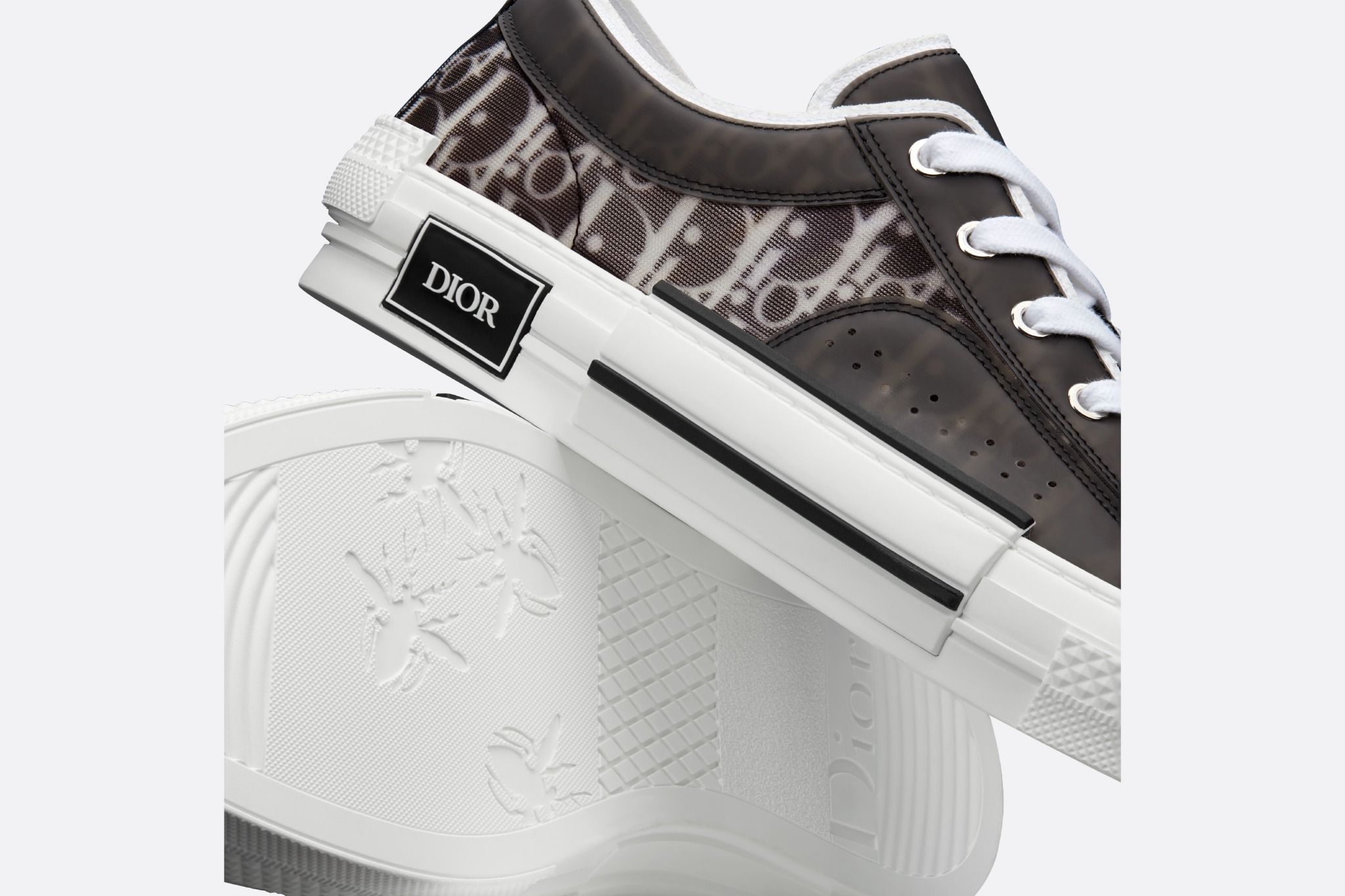 dior b23 low top canvas oblique