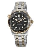  Đồng Hồ Omega Seamaster Automatic Black Dial 