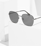  Kính Tom Ford Sunglasses 'Silver Grey' 