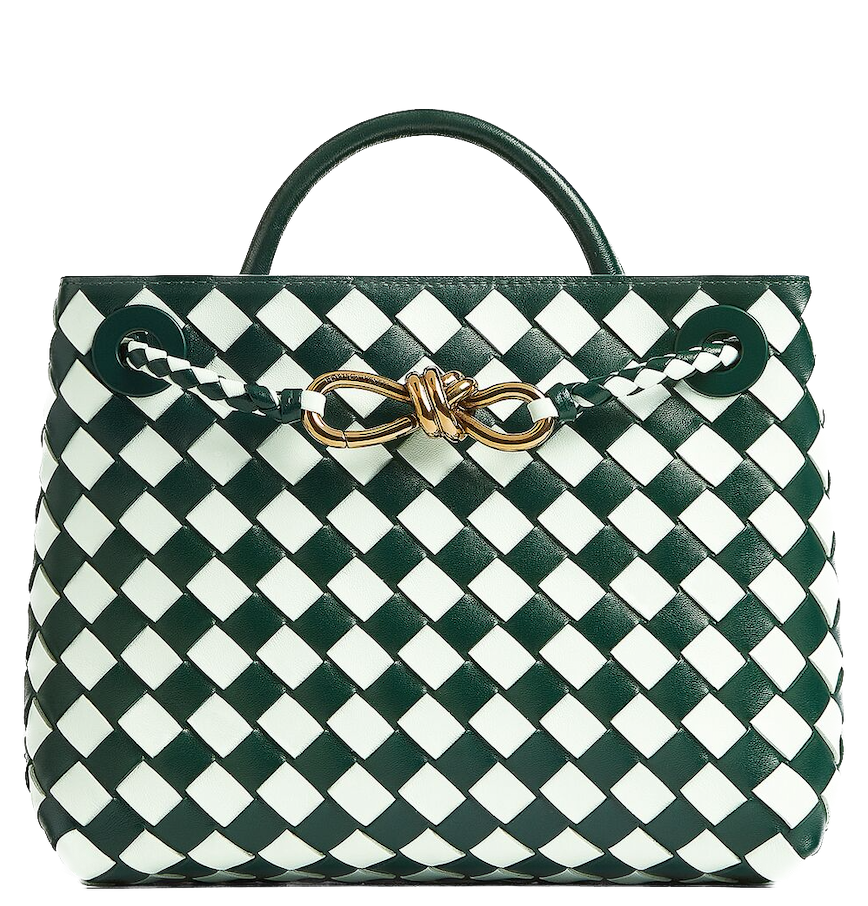  Túi Nữ Bottega Veneta Small Andiamo 'Emerald Green Glacier' 