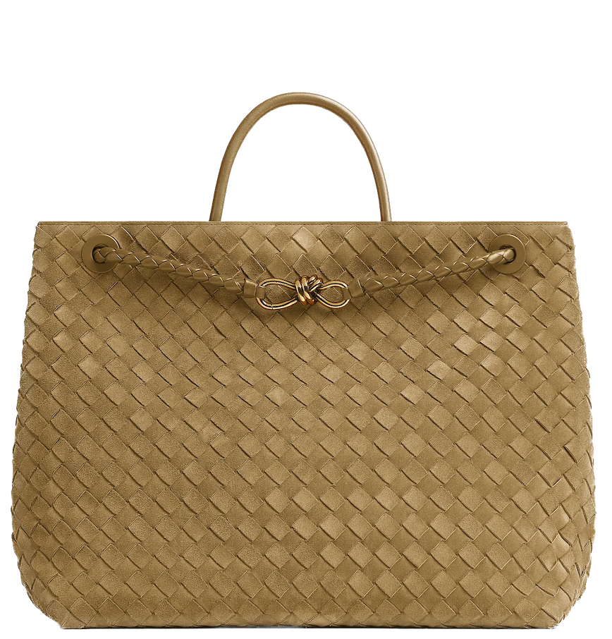  Túi Nữ Bottega Veneta Large Andiamo 'Acorn' 